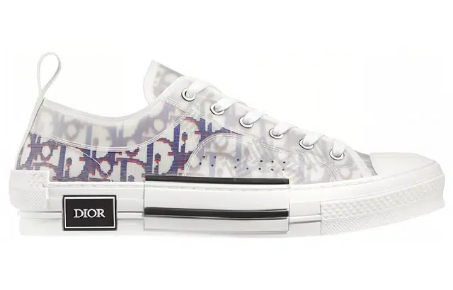 DIOR B23 Oblique