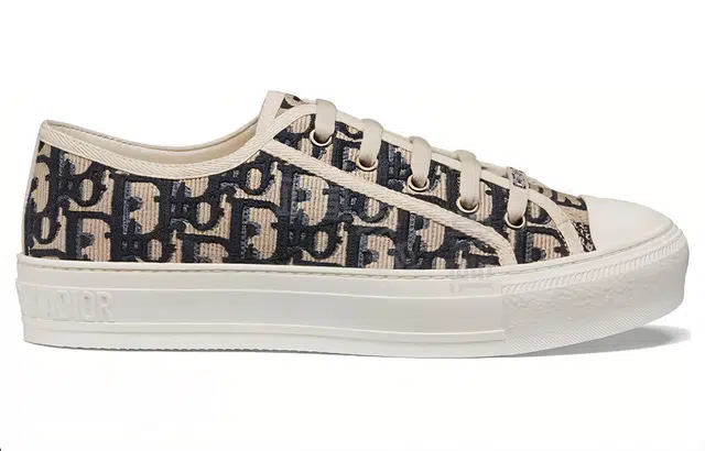 DIOR Walk'n'Dior Oblique