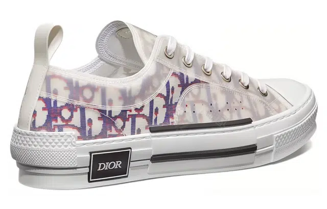DIOR B23 Oblique