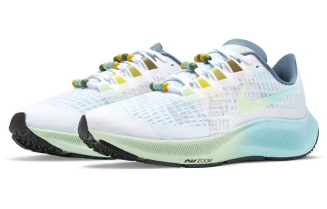 Nike Pegasus 37