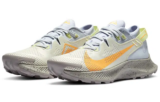 Nike Pegasus Trail 2