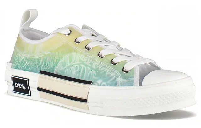 DIOR B23