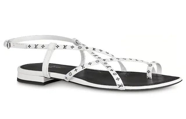 LOUIS VUITTON Citizen
