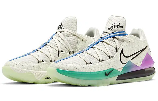 Nike Lebron 17