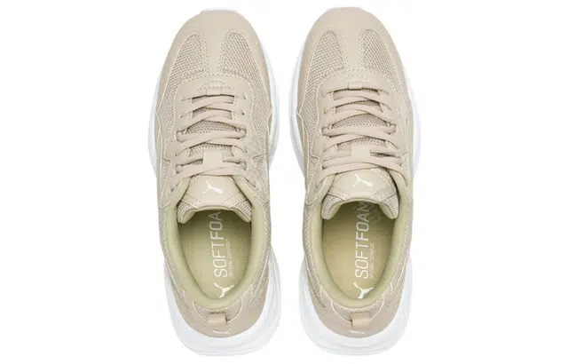 Puma Cilia