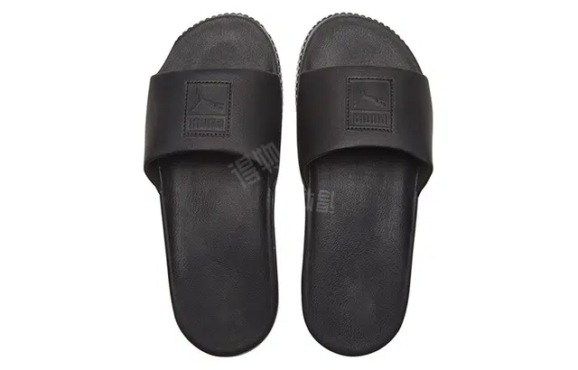 PUMA Platform Slide