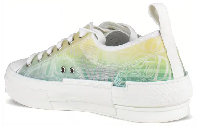 DIOR B23