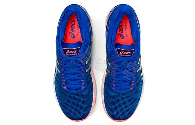 Asics GEL-Nimbus 22