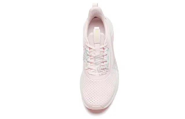 Anta