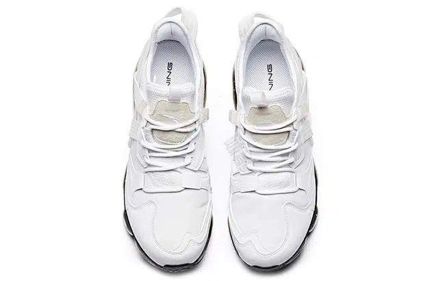 Anta
