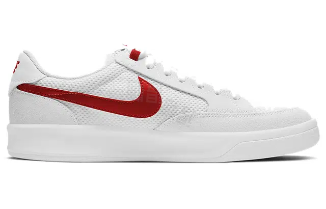 Nike SB Adversary
