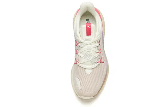 Anta