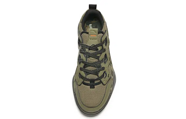 Anta