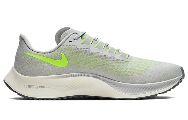 Nike Pegasus 37