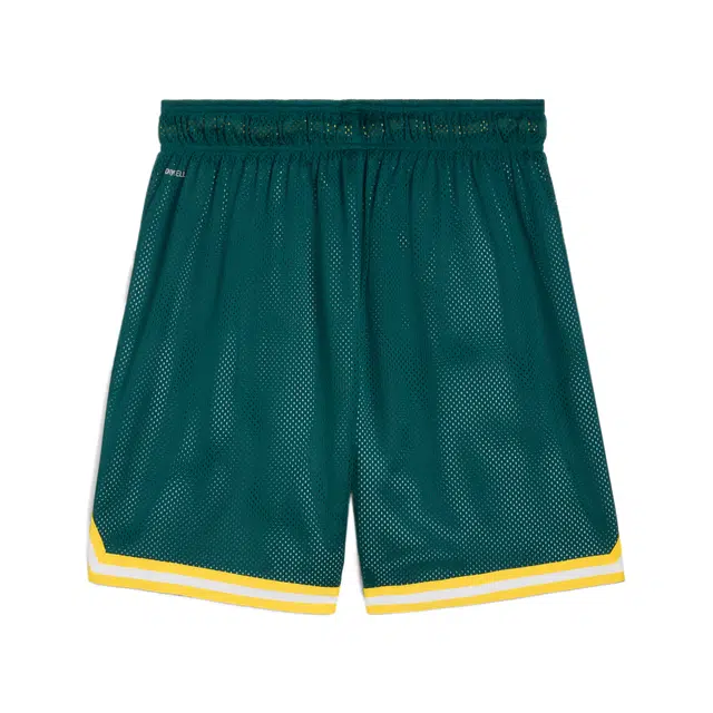 PUMA SE Palmeiras