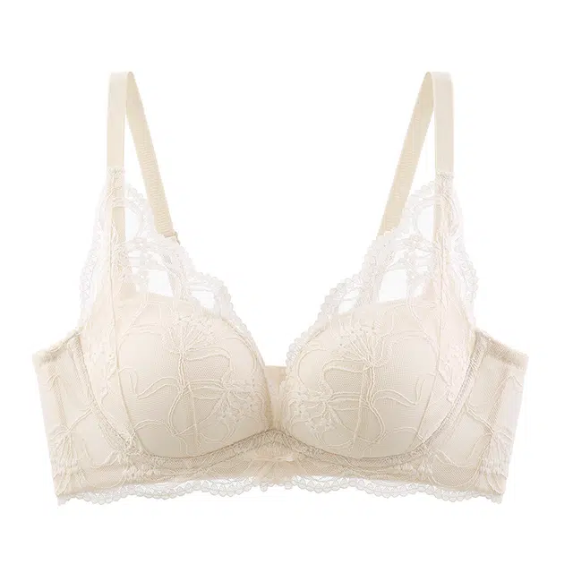 戴维诗 小胸聚拢收副乳防下垂法式蕾丝性感纯欲美背文胸 女款