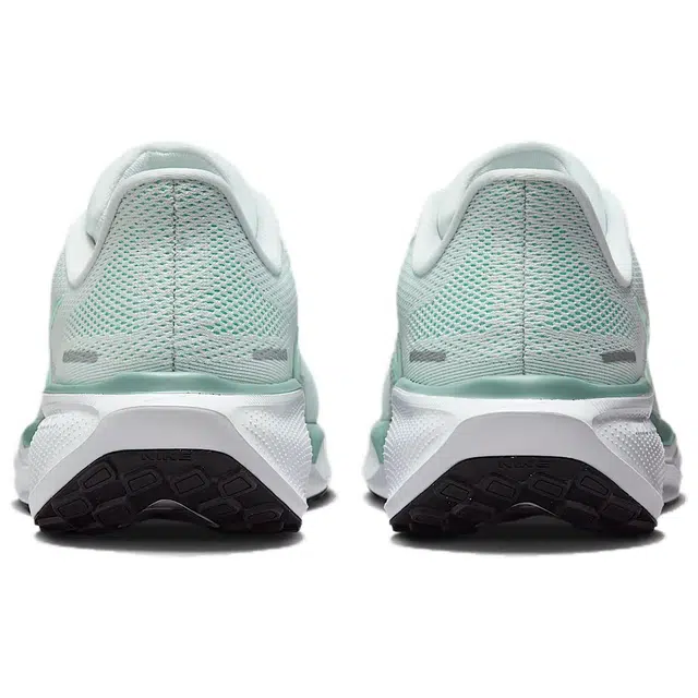 Nike Pegasus 41