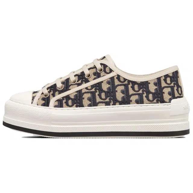 DIOR Walk'n'Dior Oblique