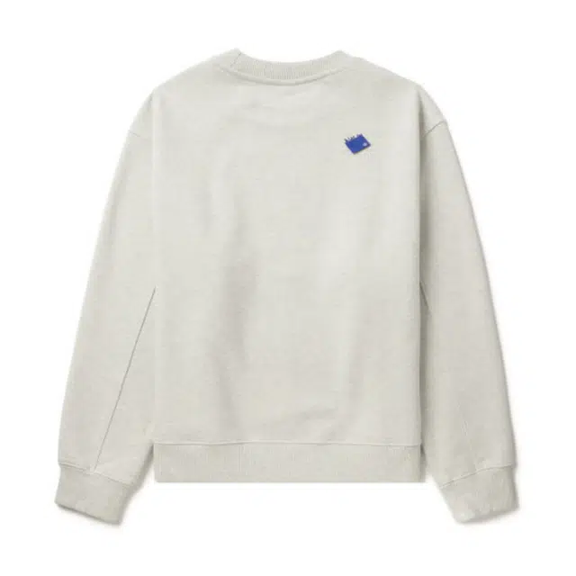 ADER ERROR