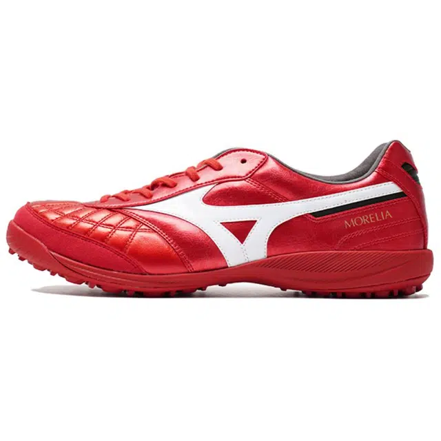 Mizuno SALA TF