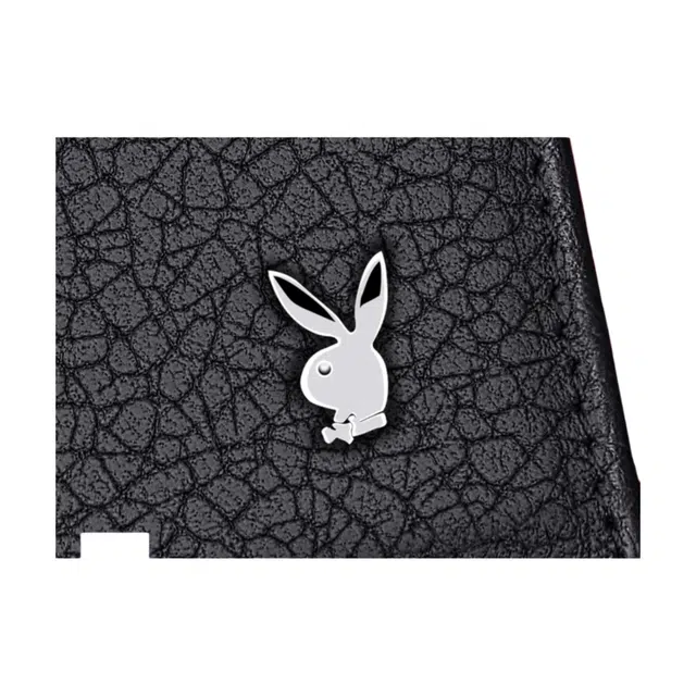 Playboy LOGO