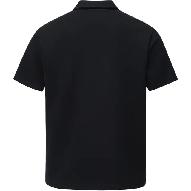 INS Polo