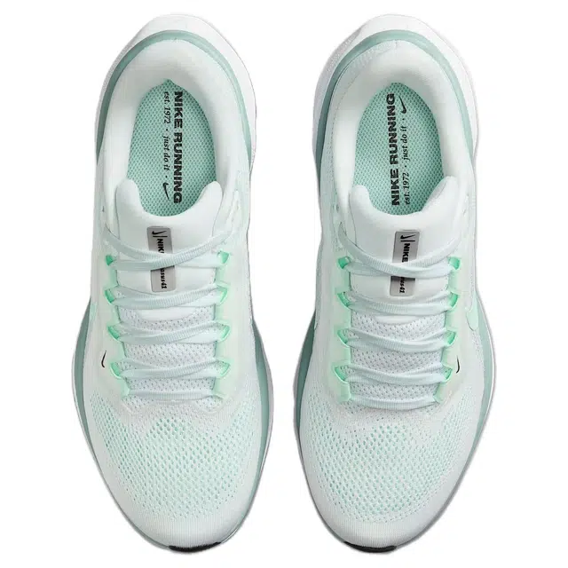 Nike Pegasus 41