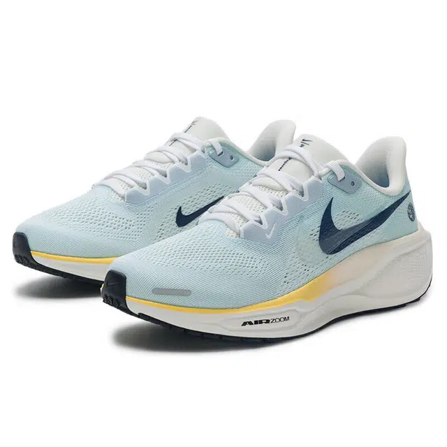 Nike Air Zoom Pegasus 41