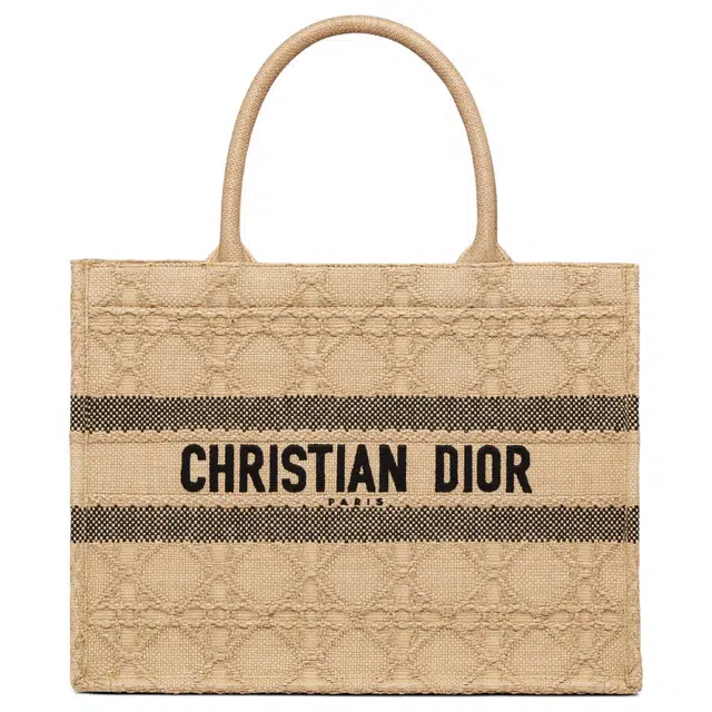 DIOR BookTote Tote
