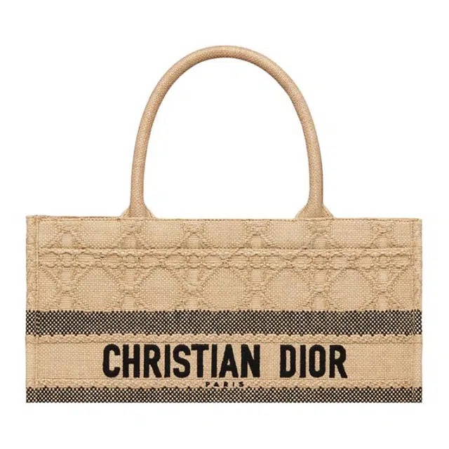 DIOR BookTote Tote