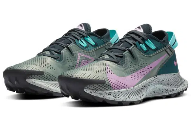 Nike Pegasus Trail 2