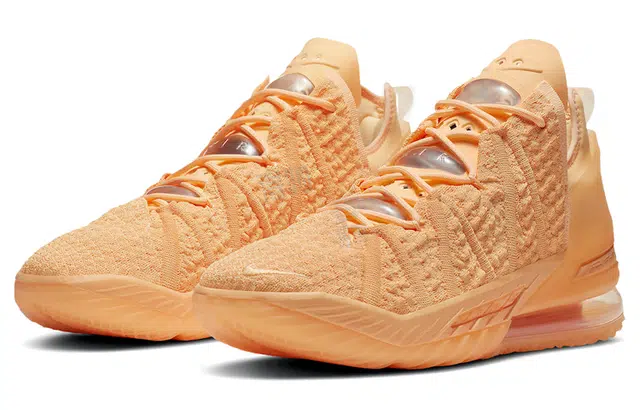 Nike Lebron 18