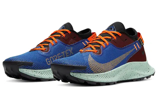 Nike Pegasus Trail 2 GORE-TEX