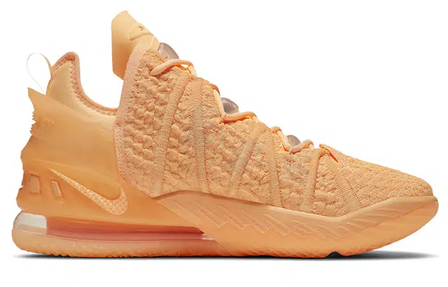 Nike Lebron 18