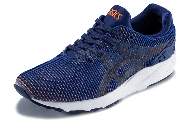 Asics Gel-Kayano Trainer Evo