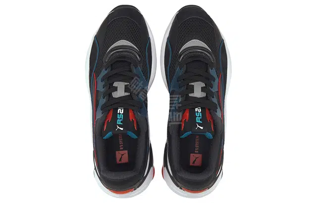 PUMA RS-2K Internet Exploring