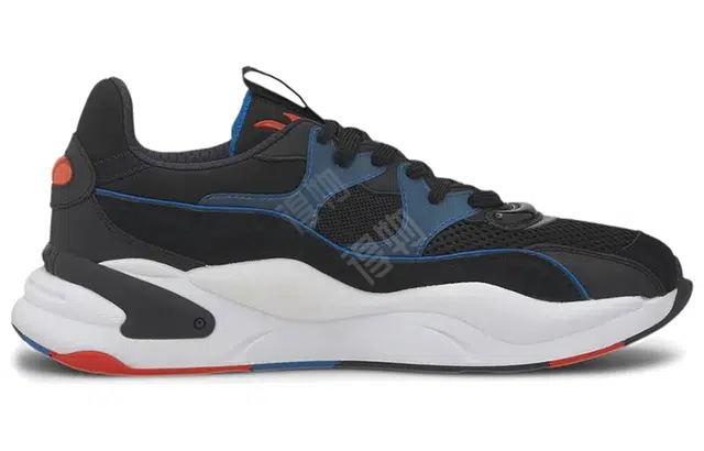 PUMA RS-2K Internet Exploring