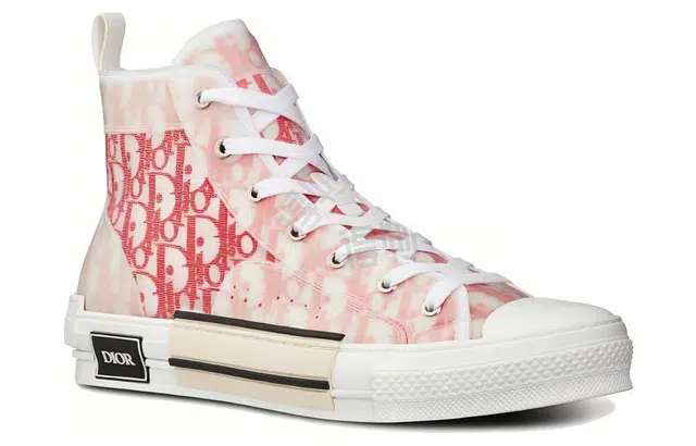 DIOR B23