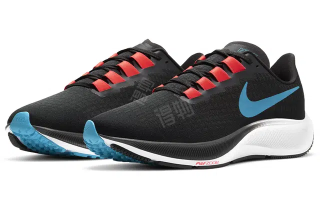 Nike Pegasus 37 TPU