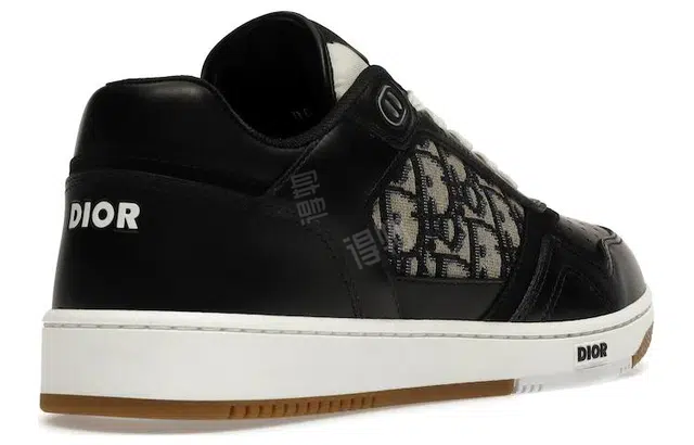 DIOR B27