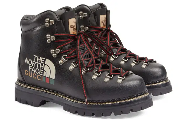 The North Face x Gucci