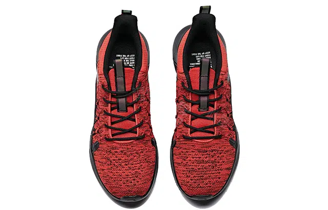 Anta