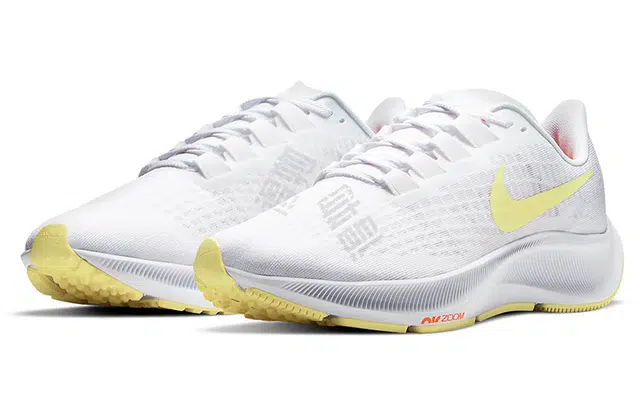 Nike Pegasus 37