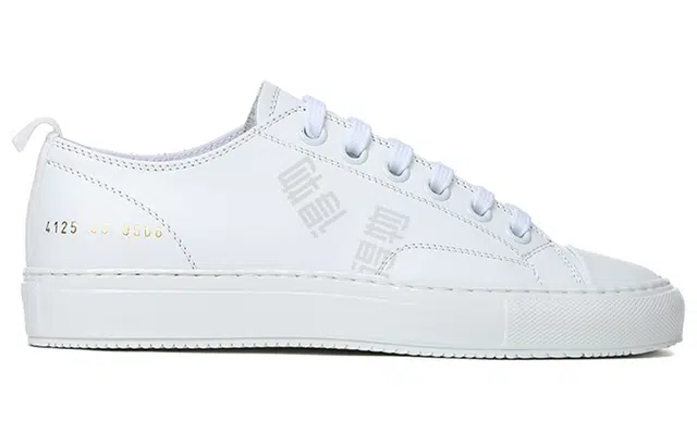 Common Projects
