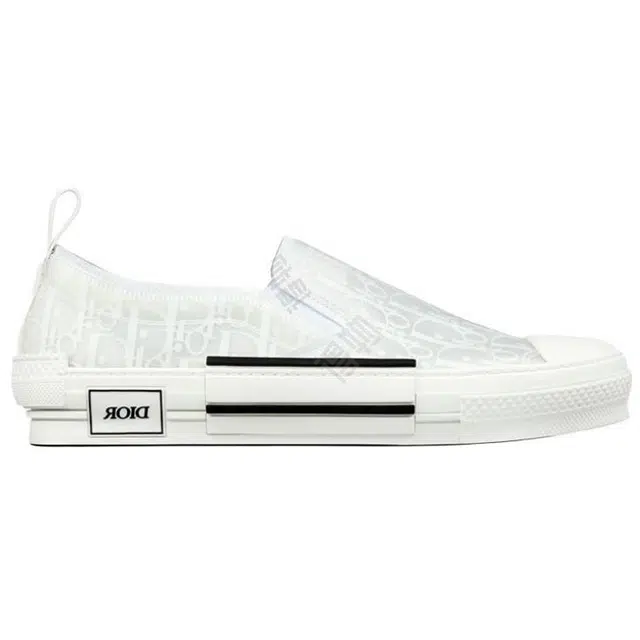 DIOR B23