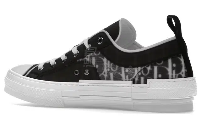 DIOR B23