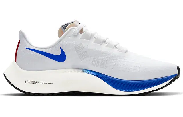 Nike Pegasus 37 premium