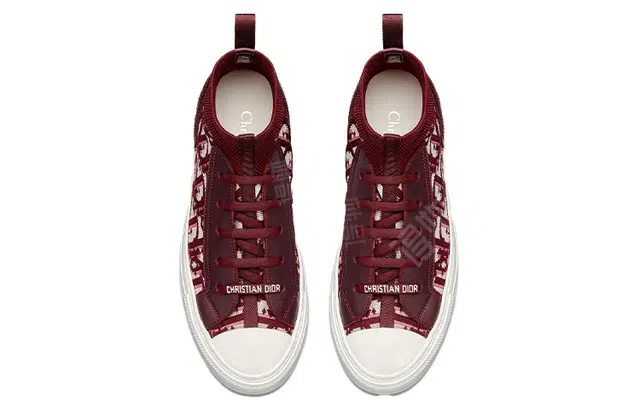 DIOR Walk'n'Dior