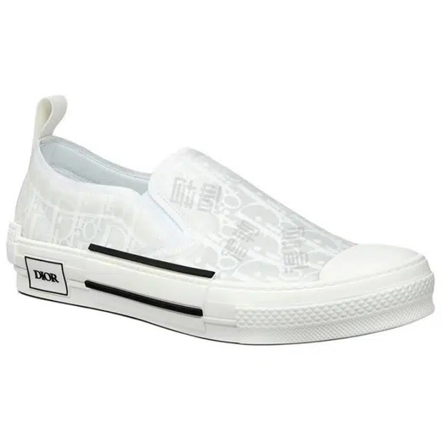 DIOR B23