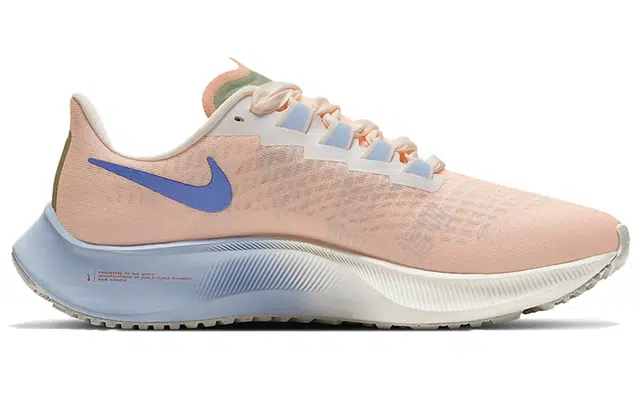 Nike Pegasus 37
